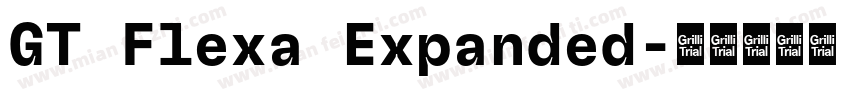 GT Flexa Expanded字体转换